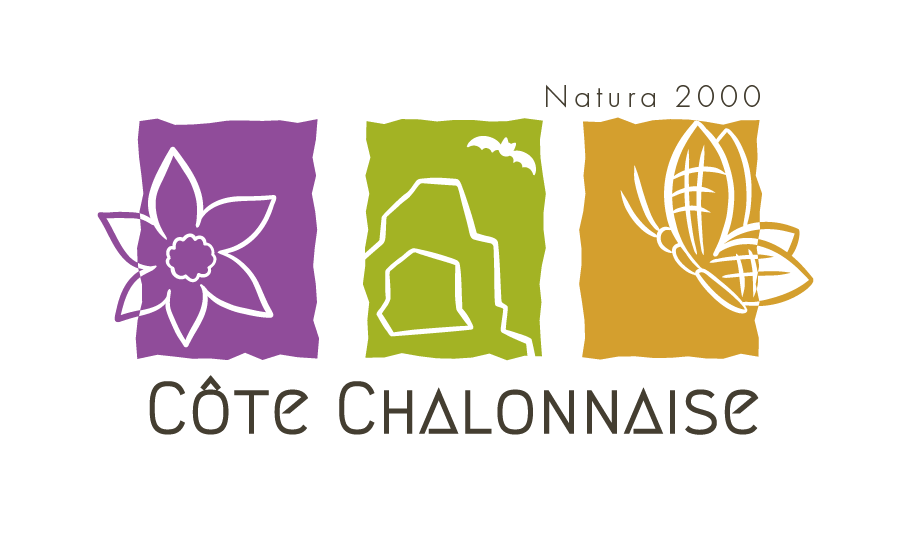 Nouveau Logo Cote chalonnaise